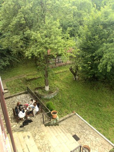 noor dilijan