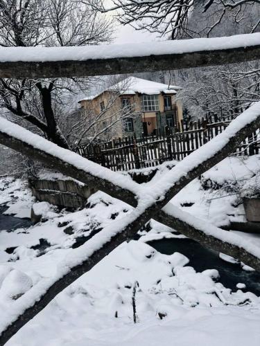 noor dilijan