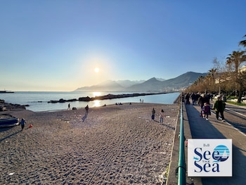 see the sea bandb