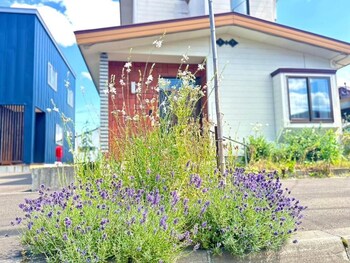 station home lavender