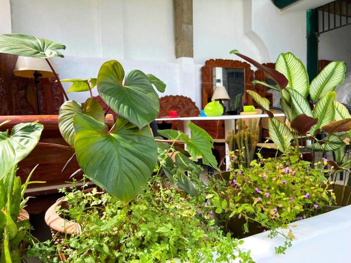 a casa portuguesa coron boutique hostel