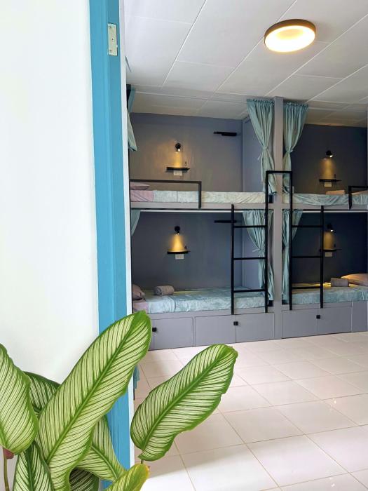 a casa portuguesa coron boutique hostel