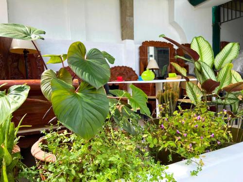 a casa portuguesa coron boutique hostel