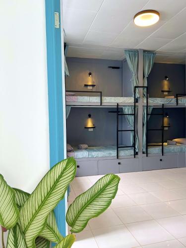 a casa portuguesa coron boutique hostel