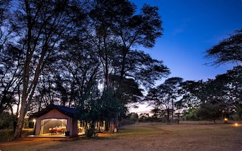 basecamp adventure