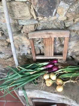 breakfastunderatree