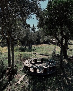 breakfastunderatree