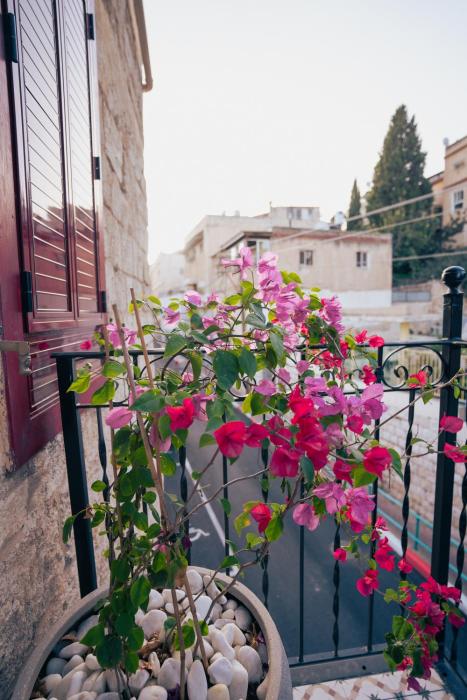roots boutique hotel