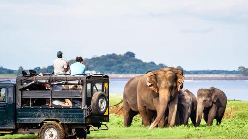 funk bunks sigiriya