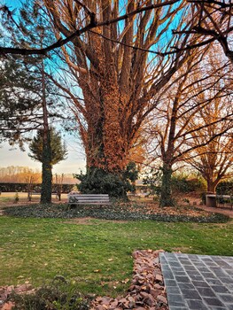 finca la saucina