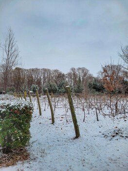 finca la saucina