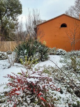 finca la saucina