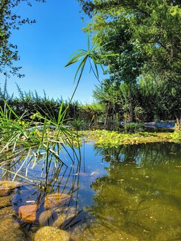 finca la saucina