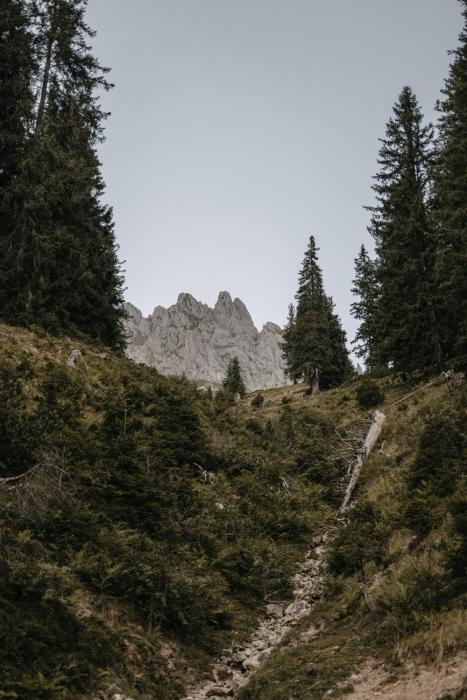 muehlbach am hochkoenig