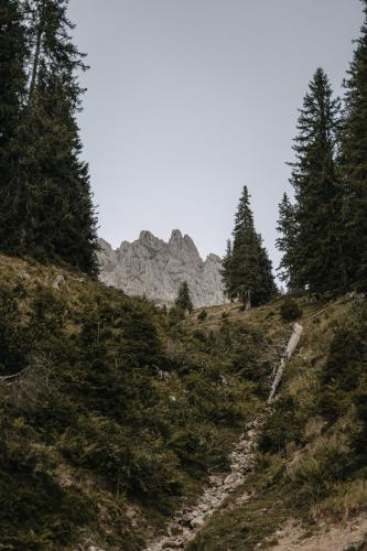 muehlbach am hochkoenig