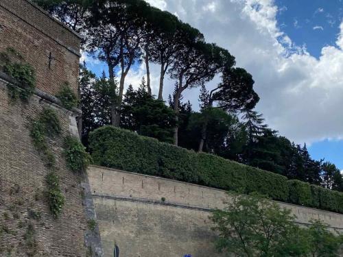 vatican lem affittacamere