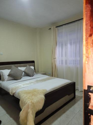 kingdom corner suites