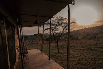 serengeti
