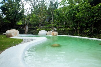 krazy gecko resort