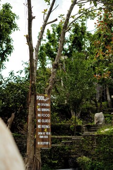 krazy gecko resort