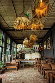 krazy gecko resort