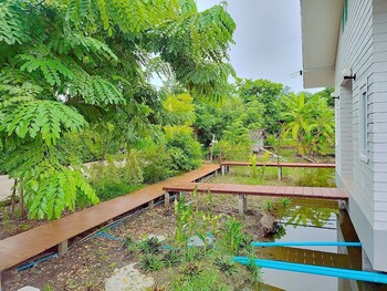 coco and canal homestory