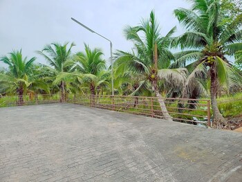 coco and canal homestory