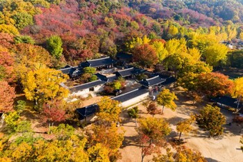 3s hotel dongtan business
