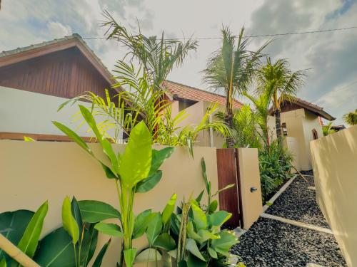 tiny house petulu