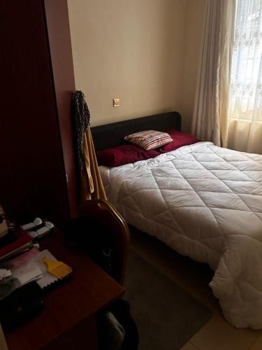 axis guest house