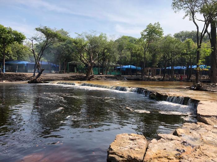 curupira amazon lodge private jungle tour river tour or great adventure tour included only in deluxe rooms