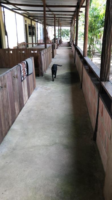 curupira amazon lodge private jungle tour river tour or great adventure tour included only in deluxe rooms