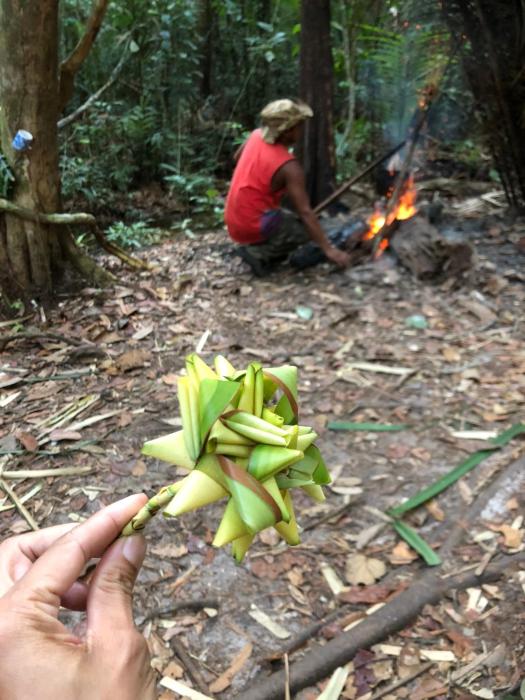 curupira amazon lodge private jungle tour river tour or great adventure tour included only in deluxe rooms