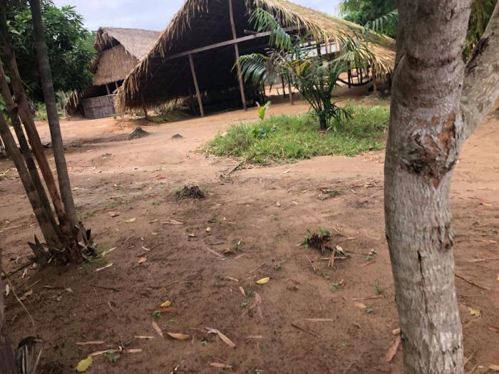 curupira amazon lodge private jungle tour river tour or great adventure tour included only in deluxe rooms