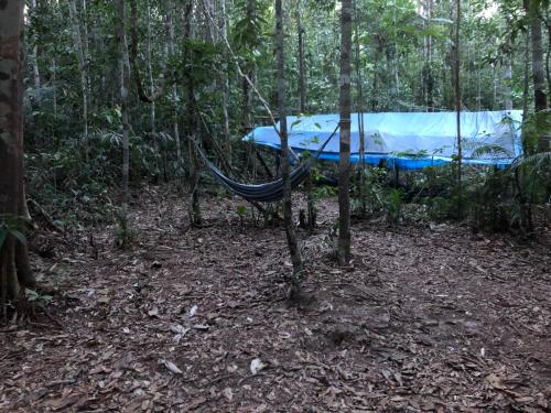curupira amazon lodge private jungle tour river tour or great adventure tour included only in deluxe rooms