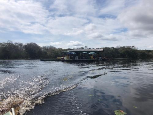 curupira amazon lodge private jungle tour river tour or great adventure tour included only in deluxe rooms