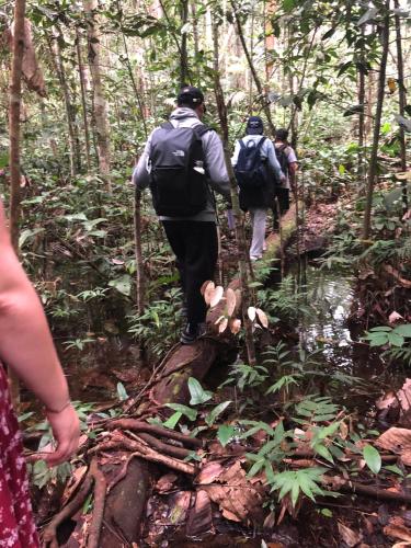 curupira amazon lodge private jungle tour river tour or great adventure tour included only in deluxe rooms