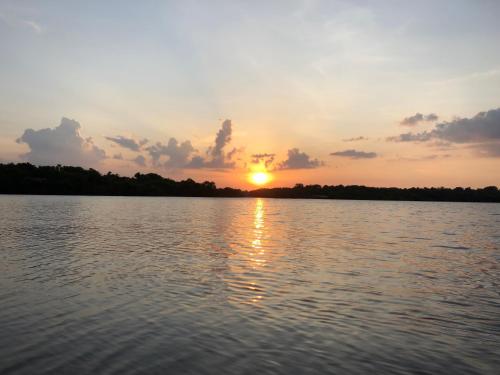 curupira amazon lodge private jungle tour river tour or great adventure tour included only in deluxe rooms