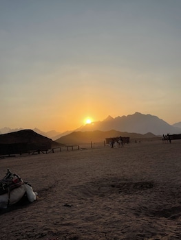basha pyramids inn