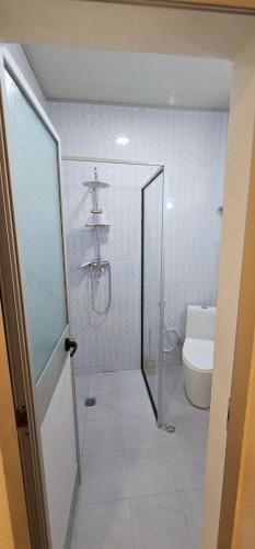 bole central apartment