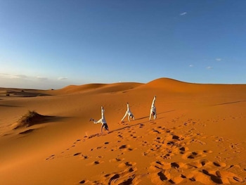 sultana merzouga camp