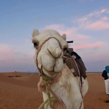 sultana merzouga camp