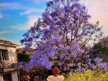 B&B Garden Grazia,,3 star