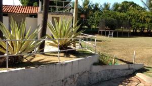 jaboticabal