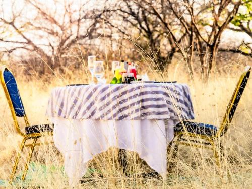 abenab lodge and tours cc