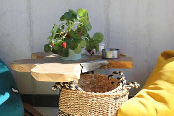 robys boutique rooms