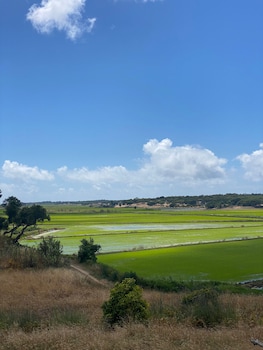 quinta amala