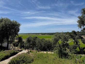 quinta amala