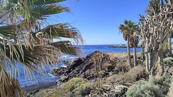 surf harbour