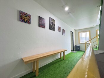 banana bunkhouse hostel